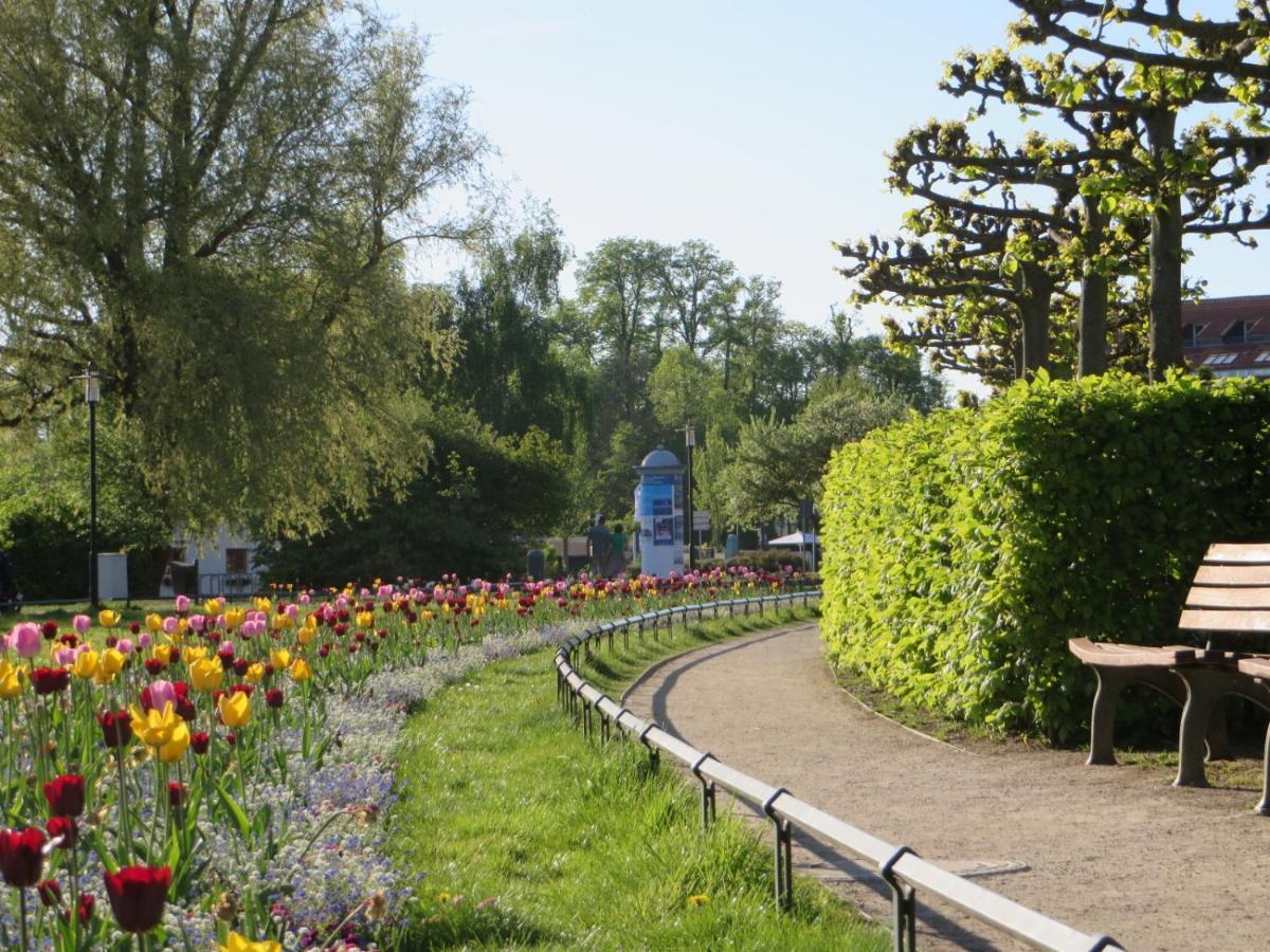 Ferienwohnungen "Marie" Mit Terrassen, Inclusive Park- Und Stellplaetze Am Haus, Mueritz-Strand Nur 700M, Altstadt 10Min, Ruhige Lage, วาเริน ภายนอก รูปภาพ